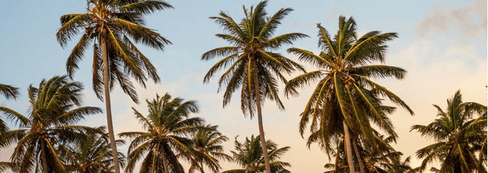 How to create an inviting environment in your yoga class